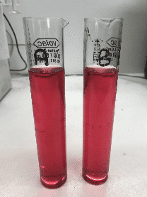 Friogel old v new comparison