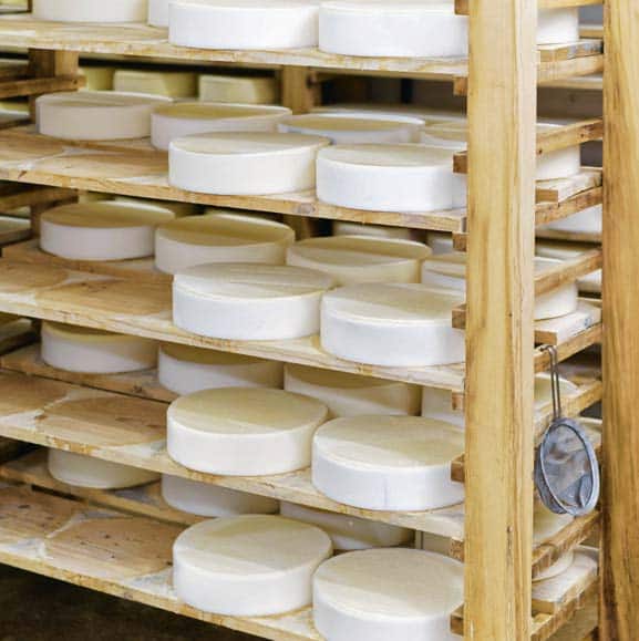 Food processing industry